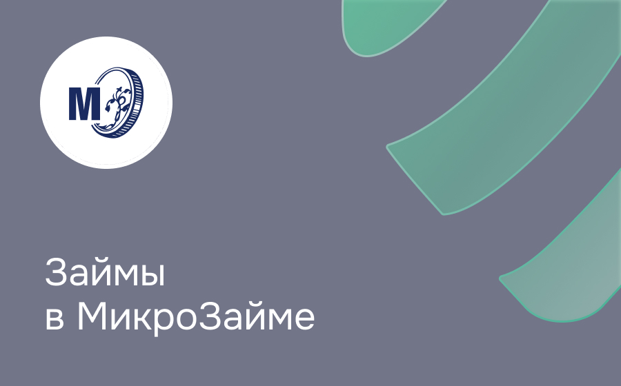 Обзор компании МикроЗайм