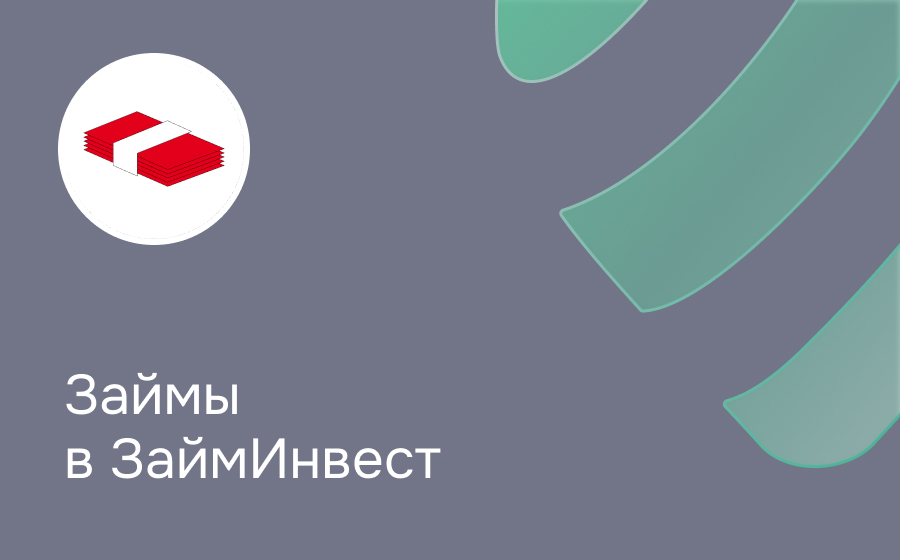 Обзор компании ЗаймИнвест