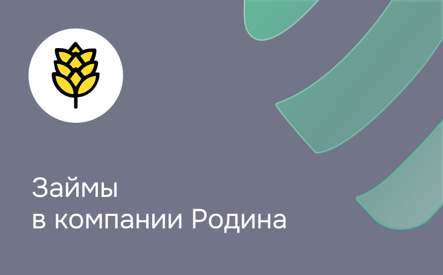 Обзор компании Родина 