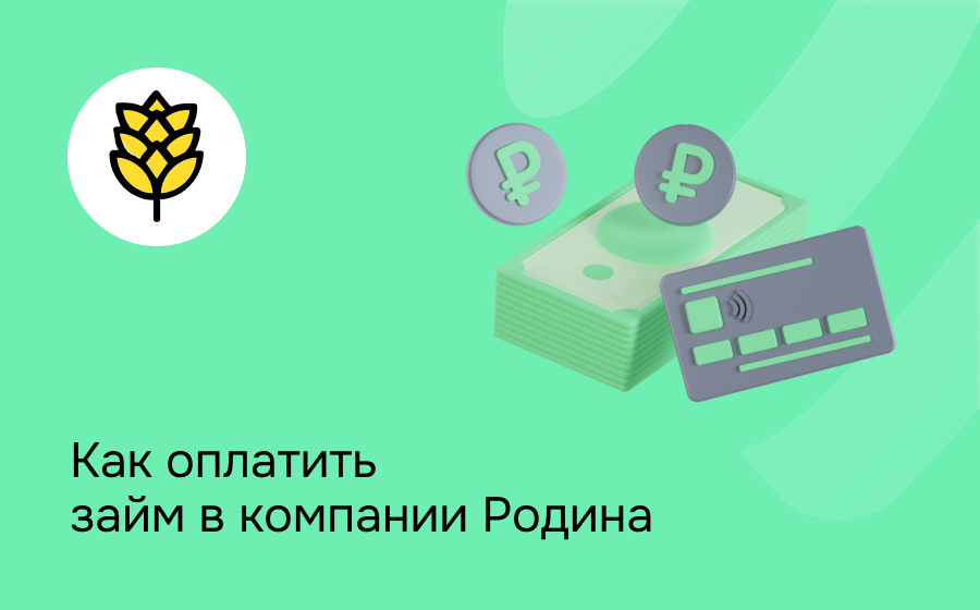 Как оплатить займ в компании Родина