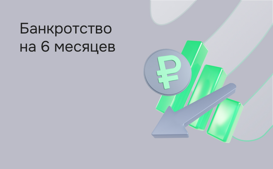 Банкротство на 6 месяцев
