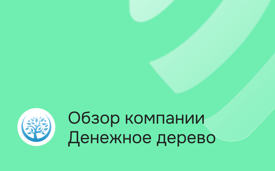 Обзор компании Денежное дерево