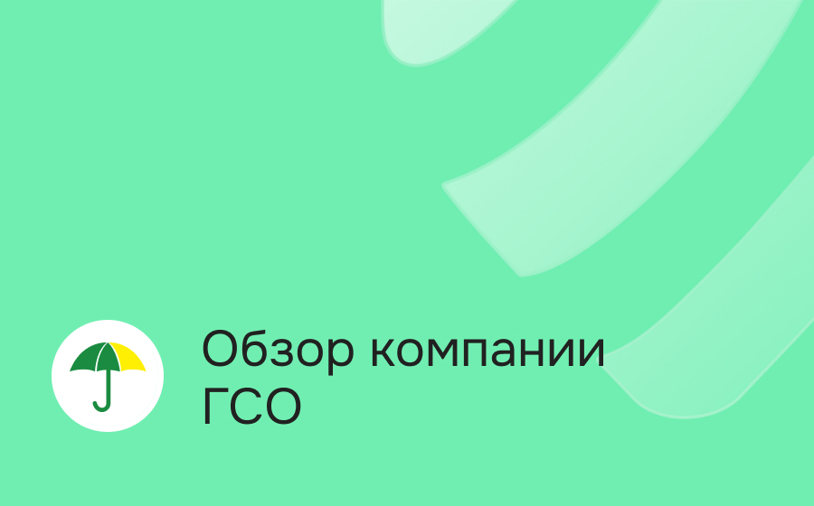 Обзор компании ГСО