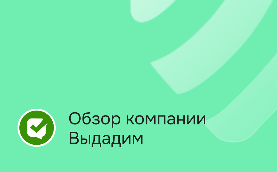 Обзор компании Выдадим